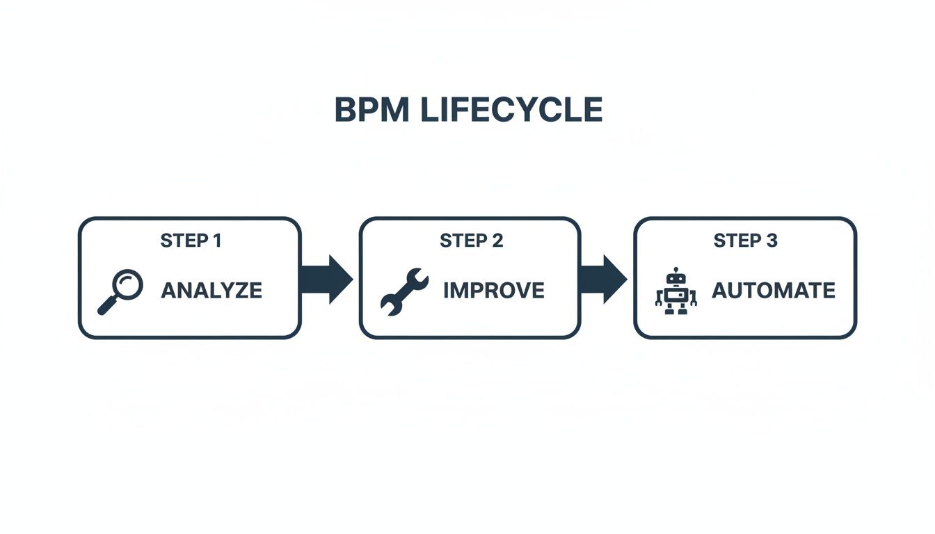 A diagram illustrating the BPM Lifecycle with three sequential steps: Analyze, Improve, and Automate, each with an icon.