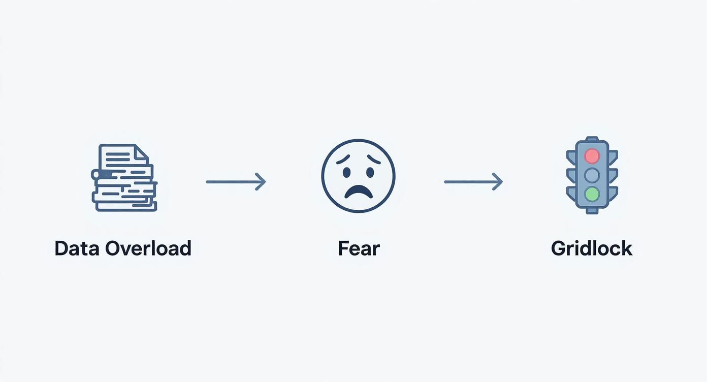 Flowchart showing data overload leading to fear and resulting in gridlock or paralysis