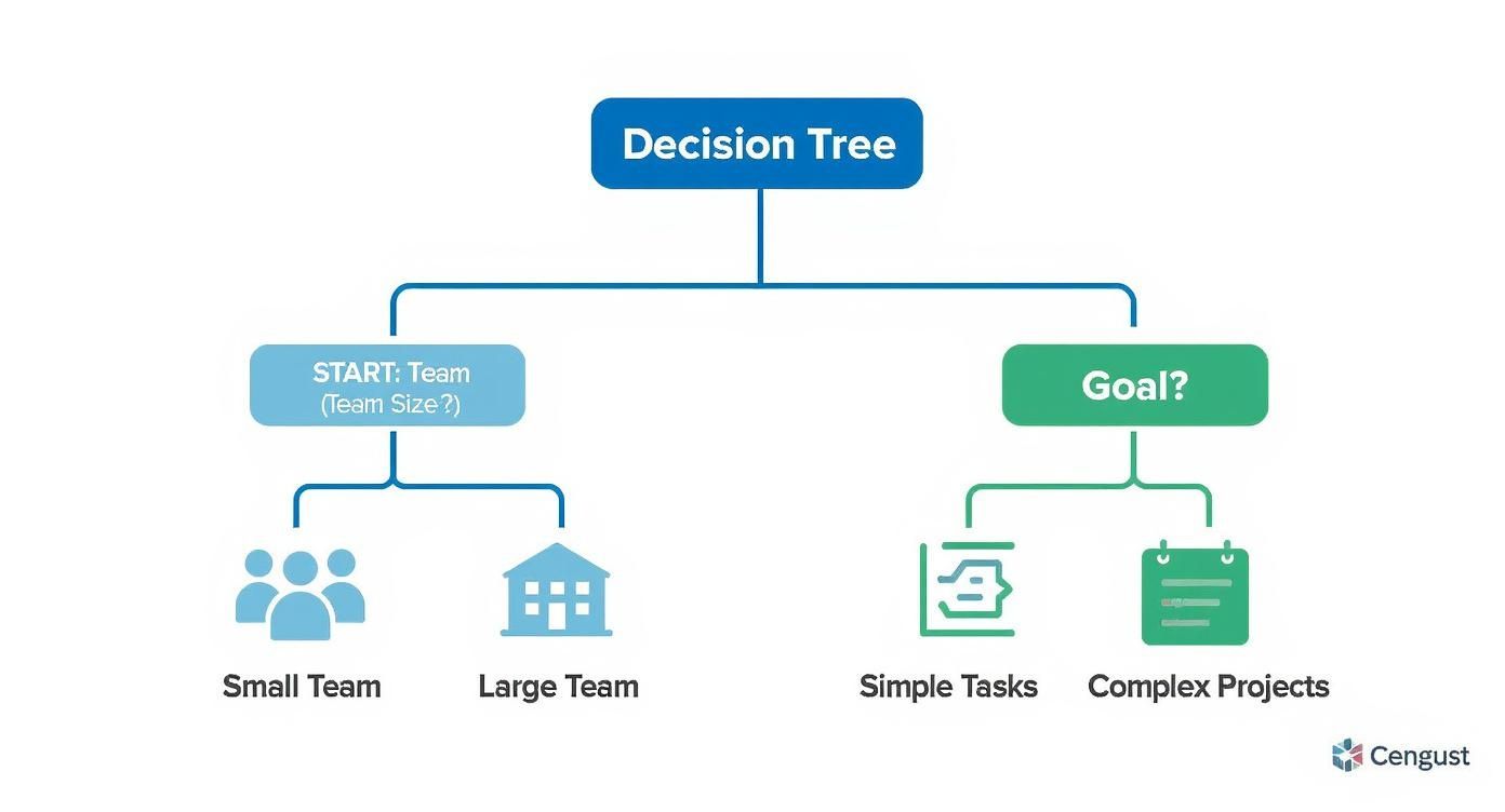 Infographic about software for planning